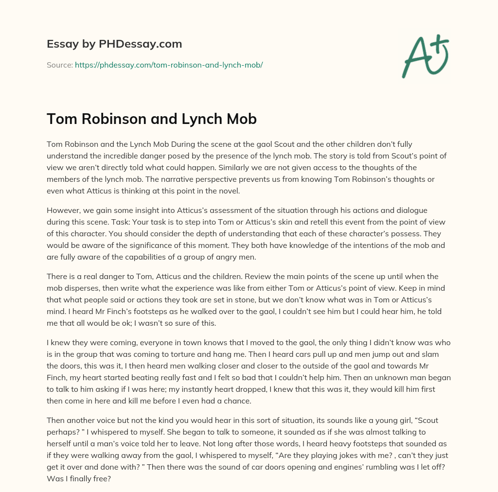 Tom Robinson and Lynch Mob essay