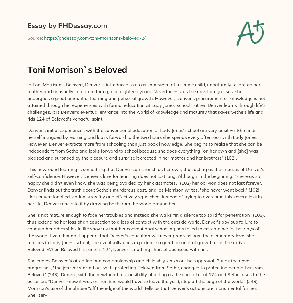 Toni Morrison`s Beloved essay