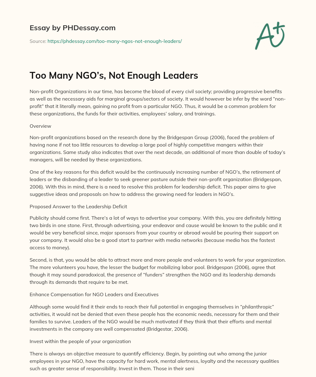 Too Many NGO’s, Not Enough Leaders essay