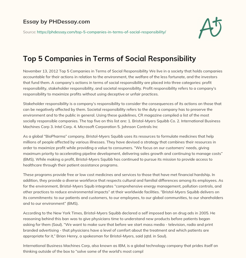 Top 5 Companies in Terms of Social Responsibility essay