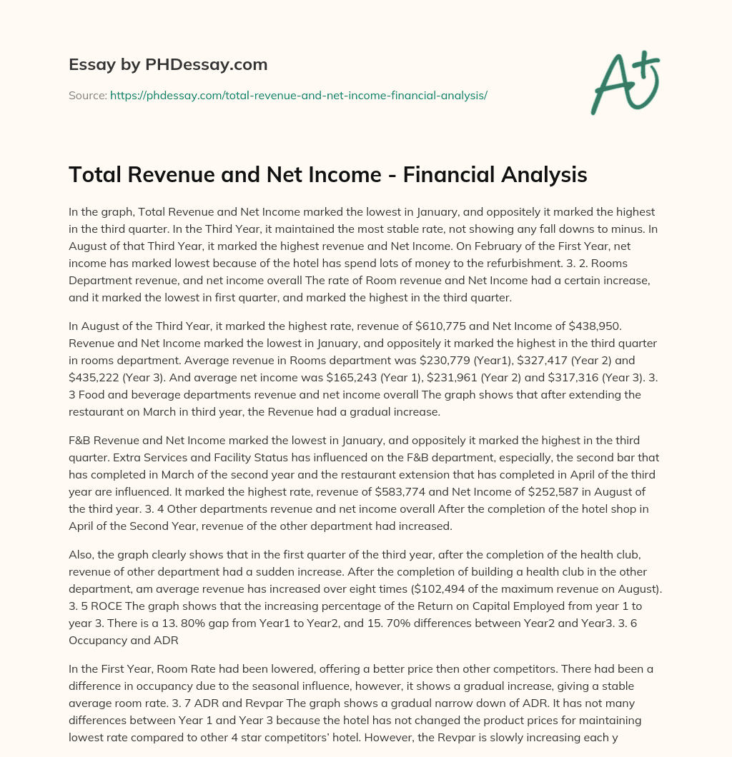 Total Revenue and Net Income – Financial Analysis essay