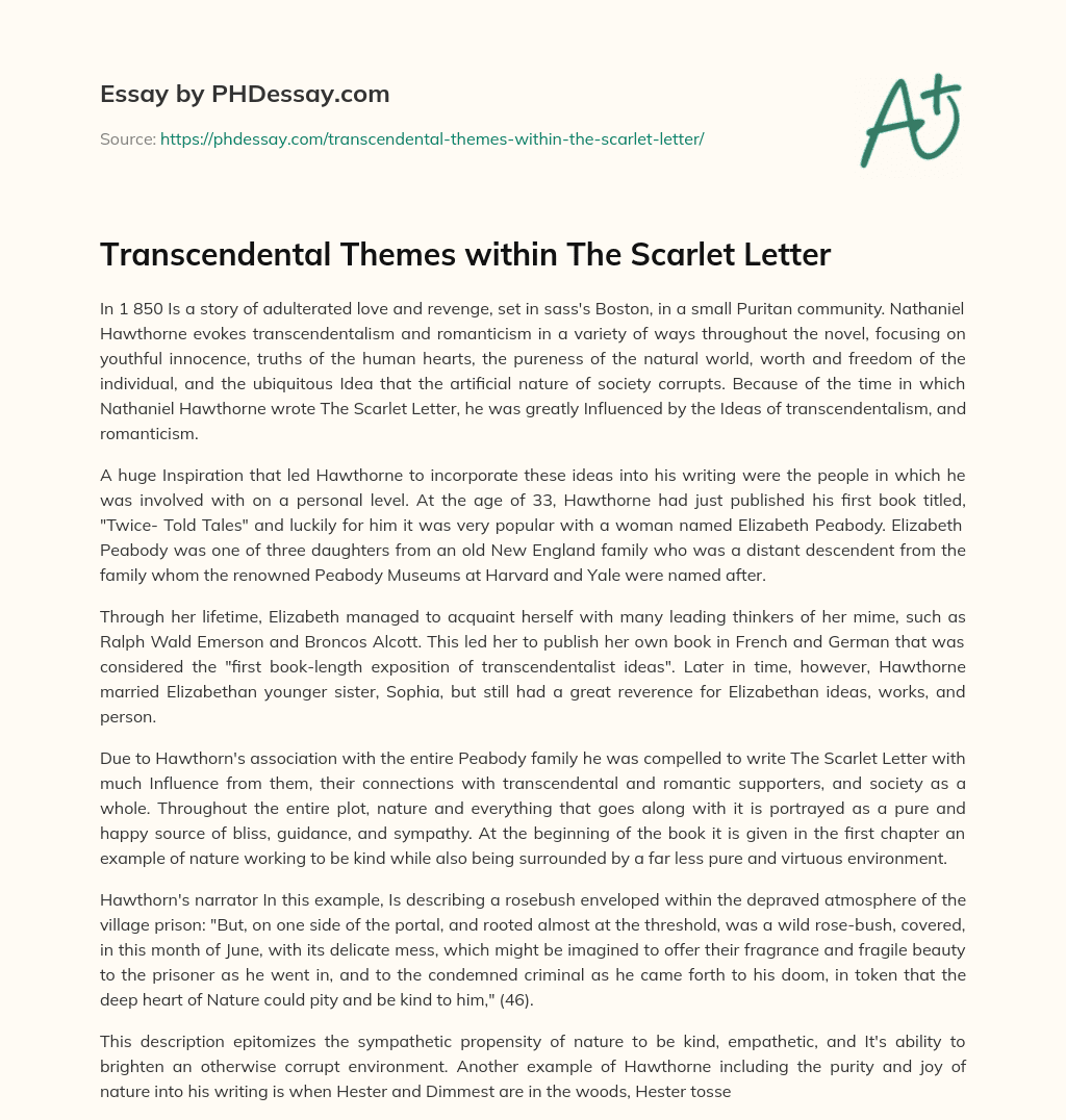 Transcendental Themes within The Scarlet Letter essay