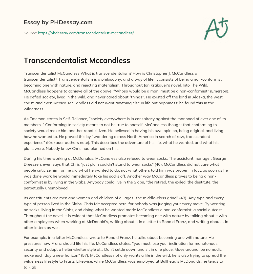 Transcendentalist Mccandless essay