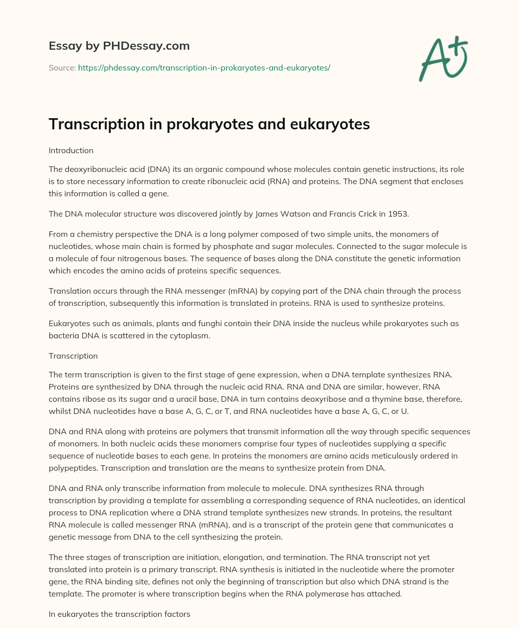 Transcription in prokaryotes and eukaryotes essay