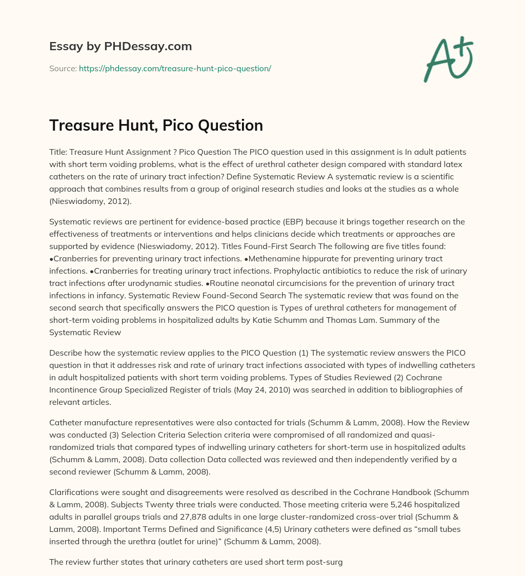 Treasure Hunt, Pico Question essay