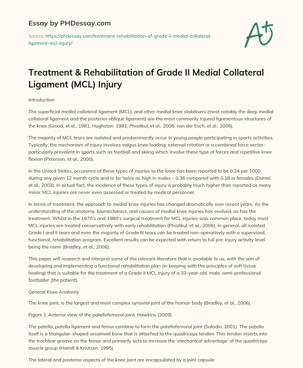 Treatment & Rehabilitation of Grade II Medial Collateral Ligament (MCL) Injury essay