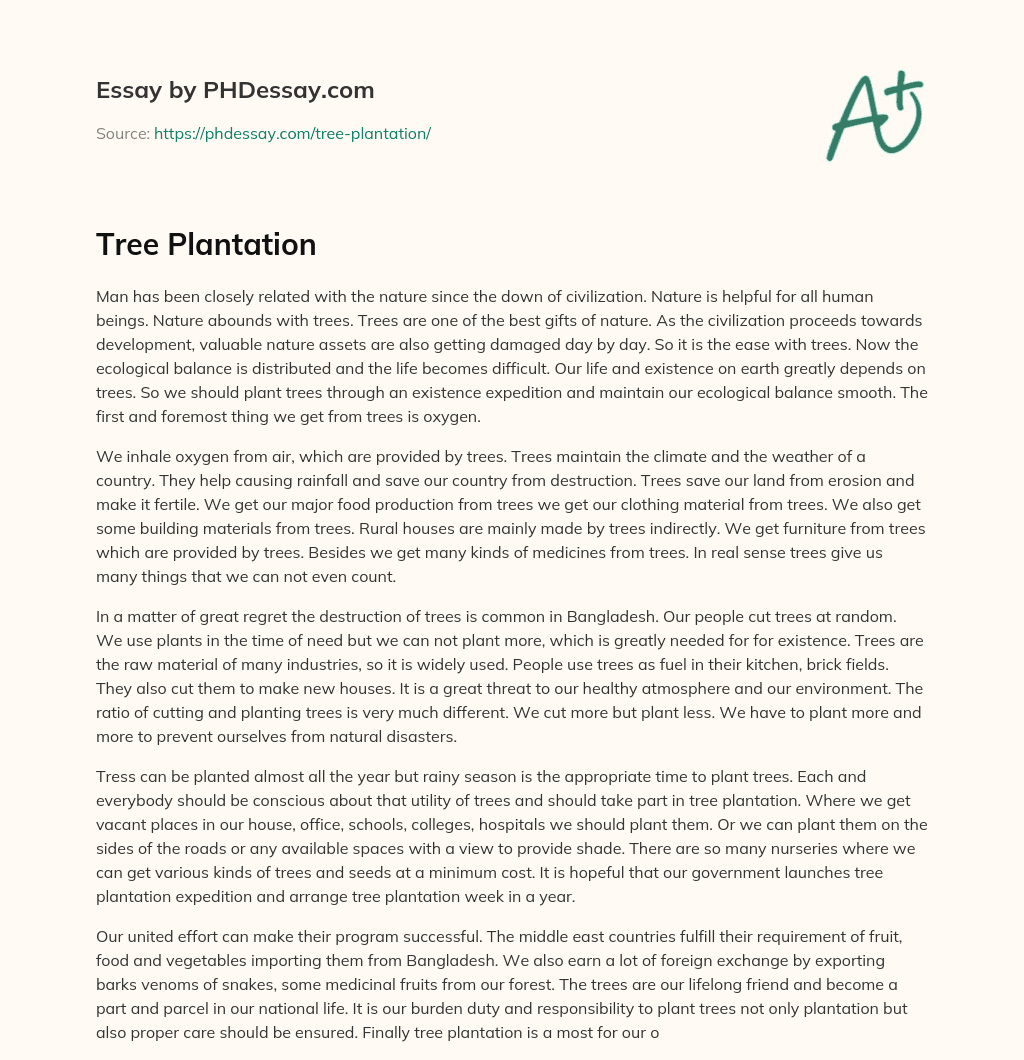 Tree Plantation (500 Words)