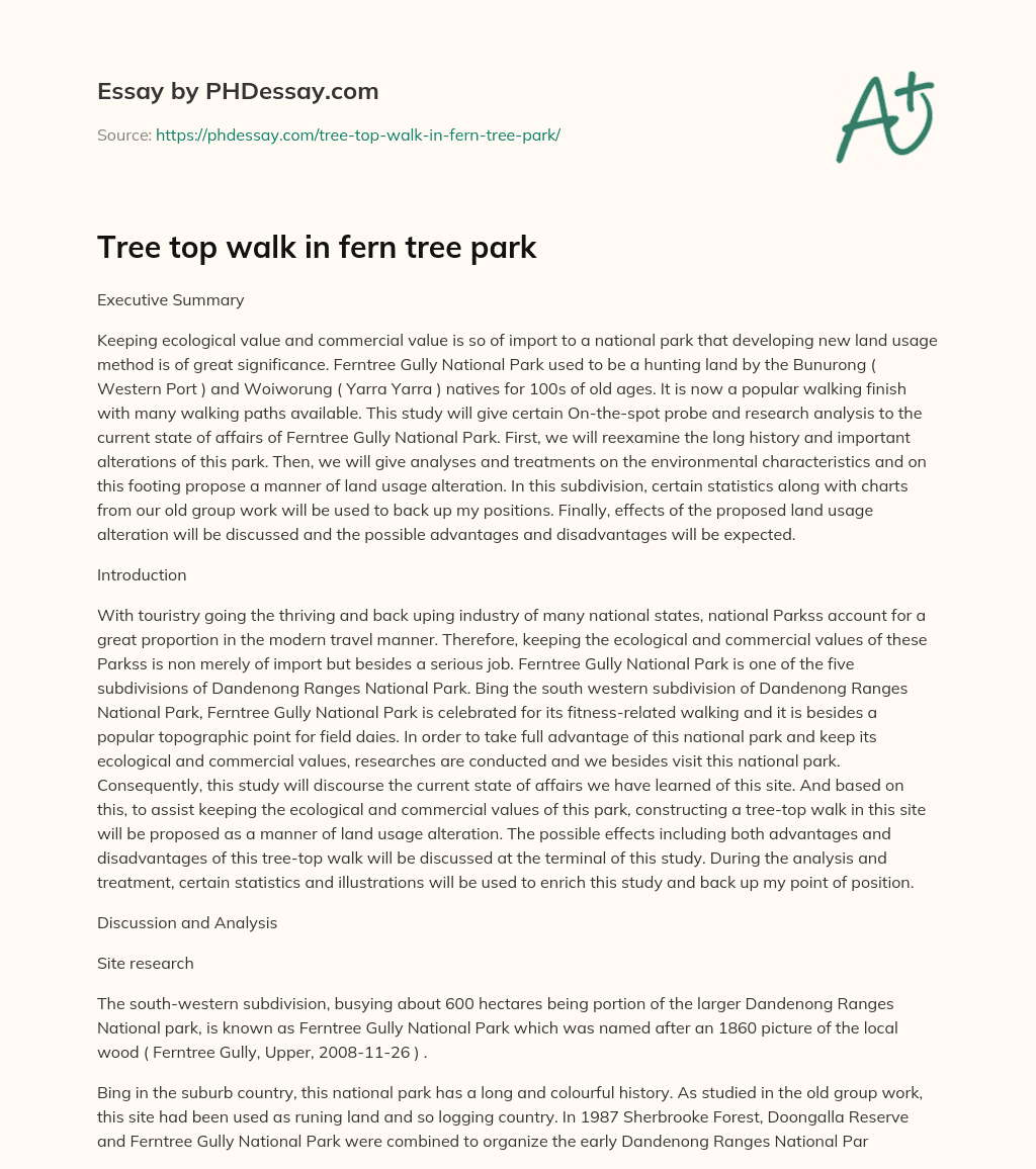 Tree top walk in fern tree park essay