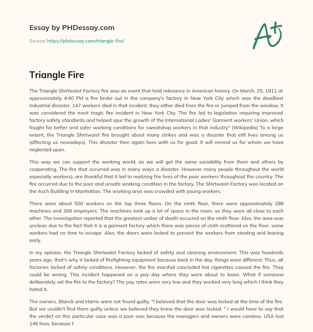 Triangle Fire essay