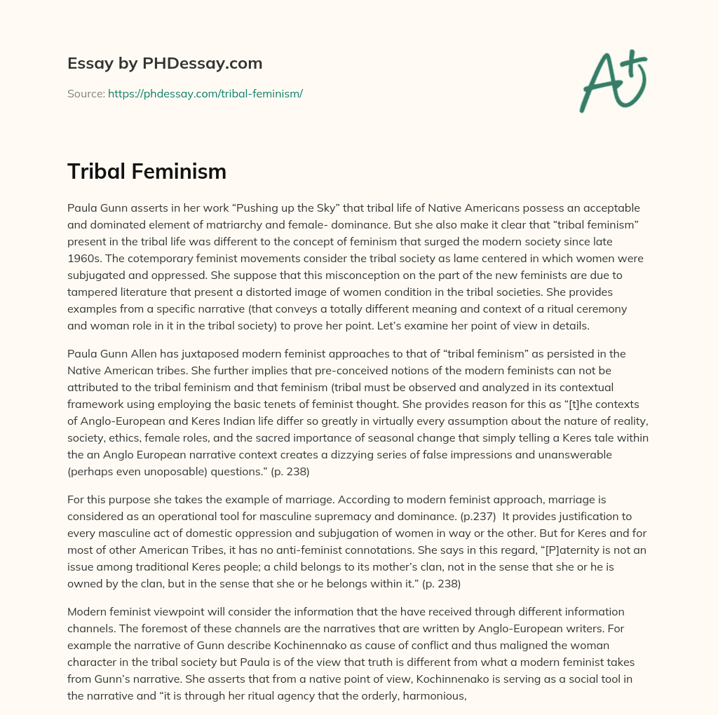 Tribal Feminism essay