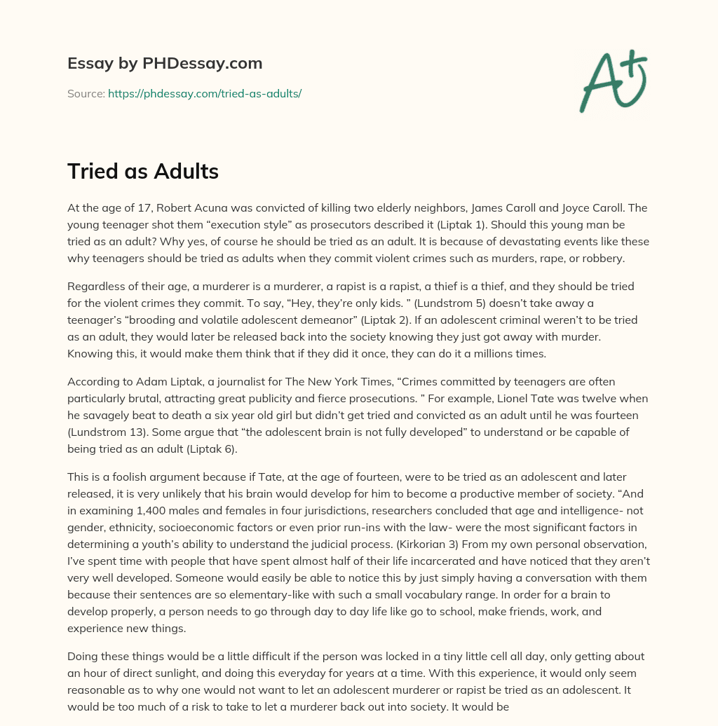 Tried as Adults essay