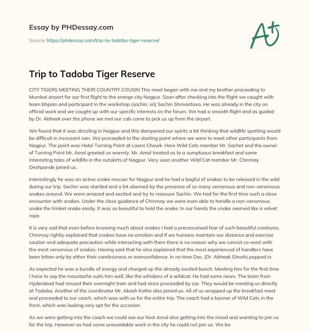 Trip to Tadoba Tiger Reserve essay