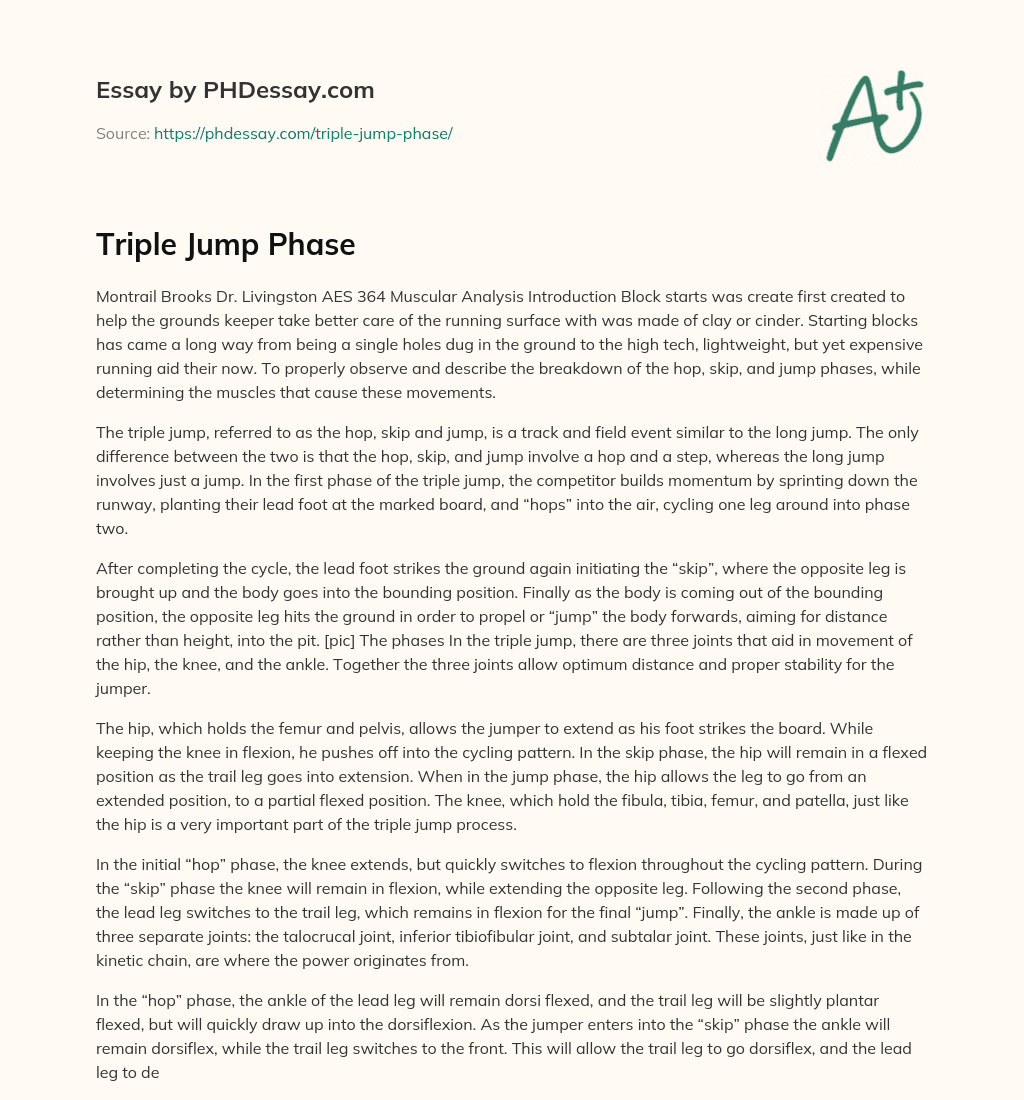 Triple Jump Phase essay
