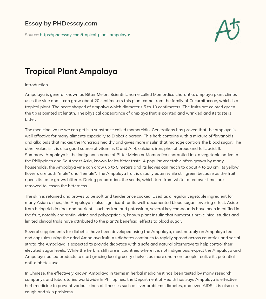 Tropical Plant Ampalaya essay