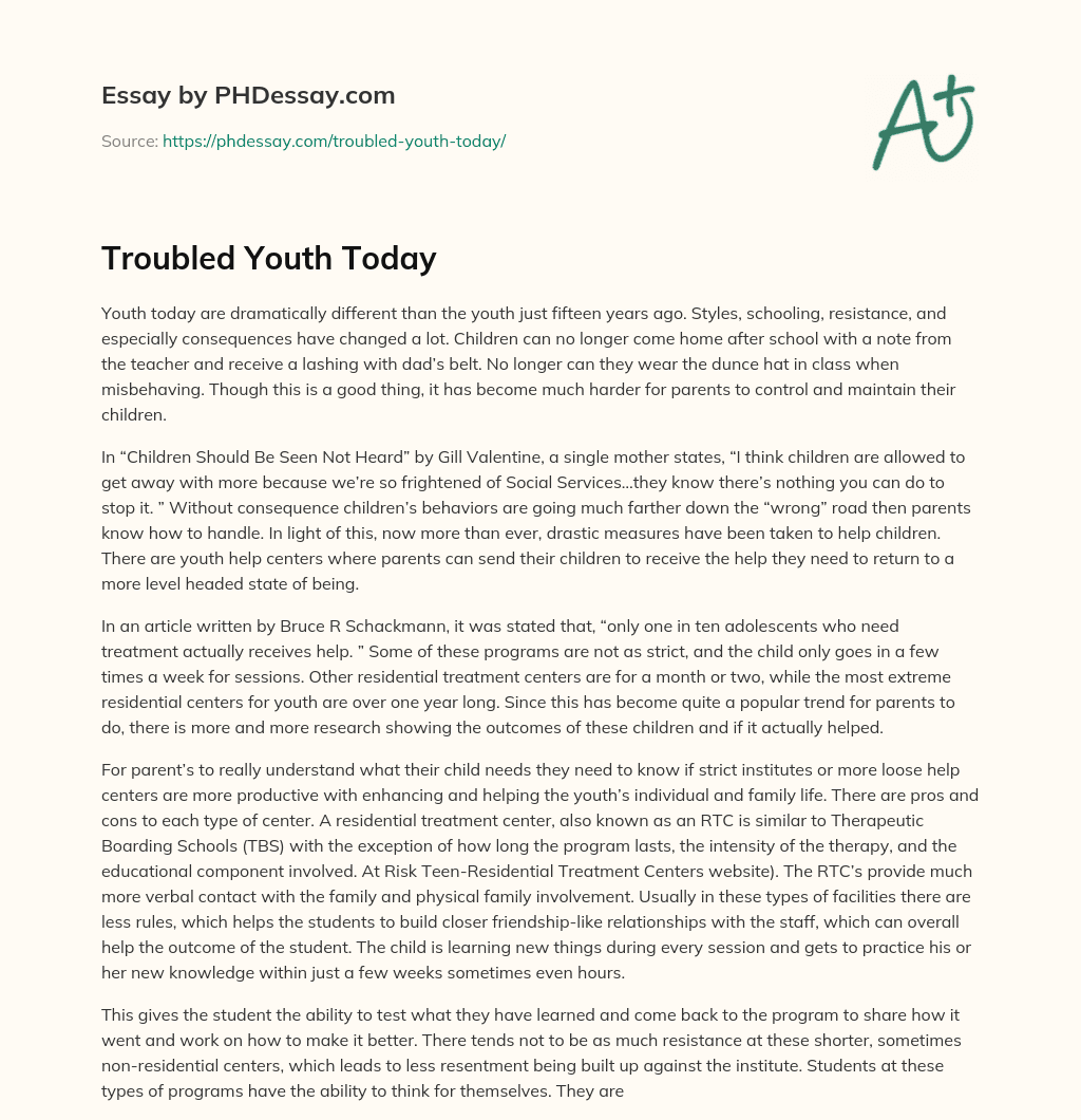 Troubled Youth Today essay