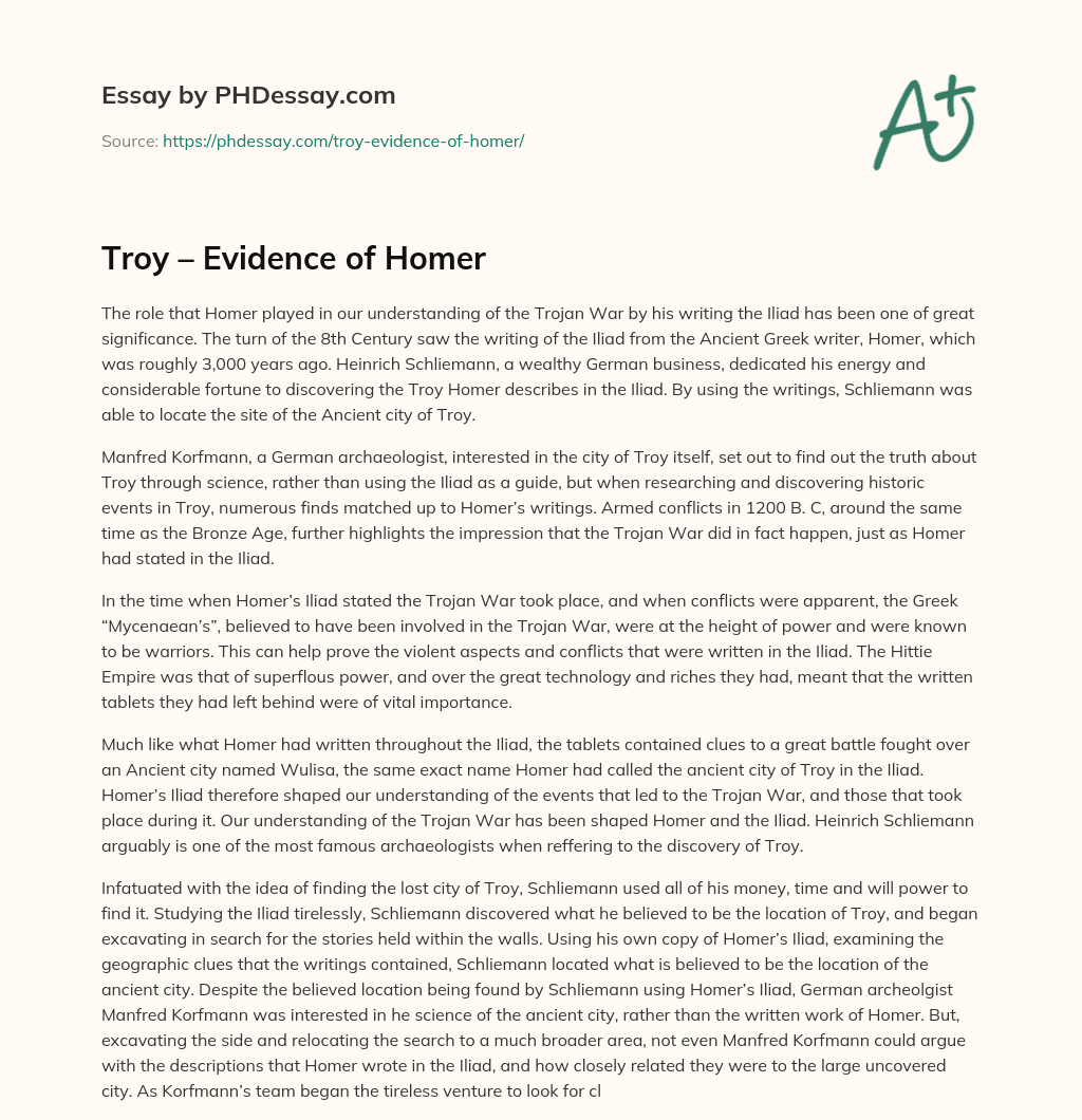 Troy – Evidence of Homer essay