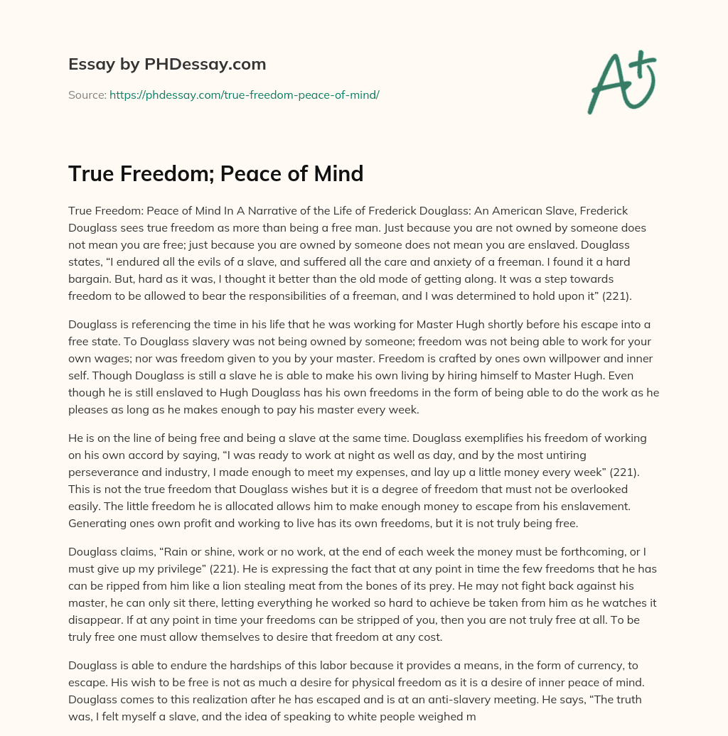 essay about peace and freedom