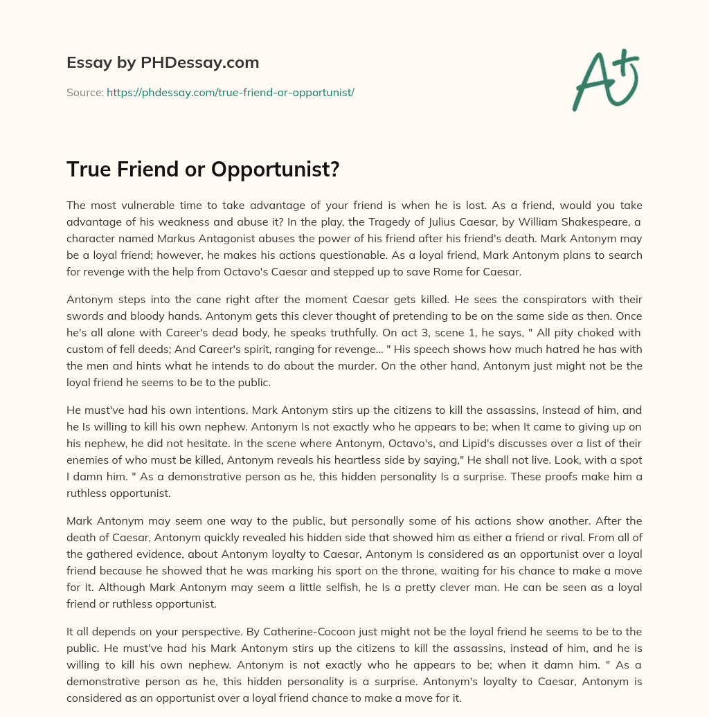 True Friend or Opportunist? essay
