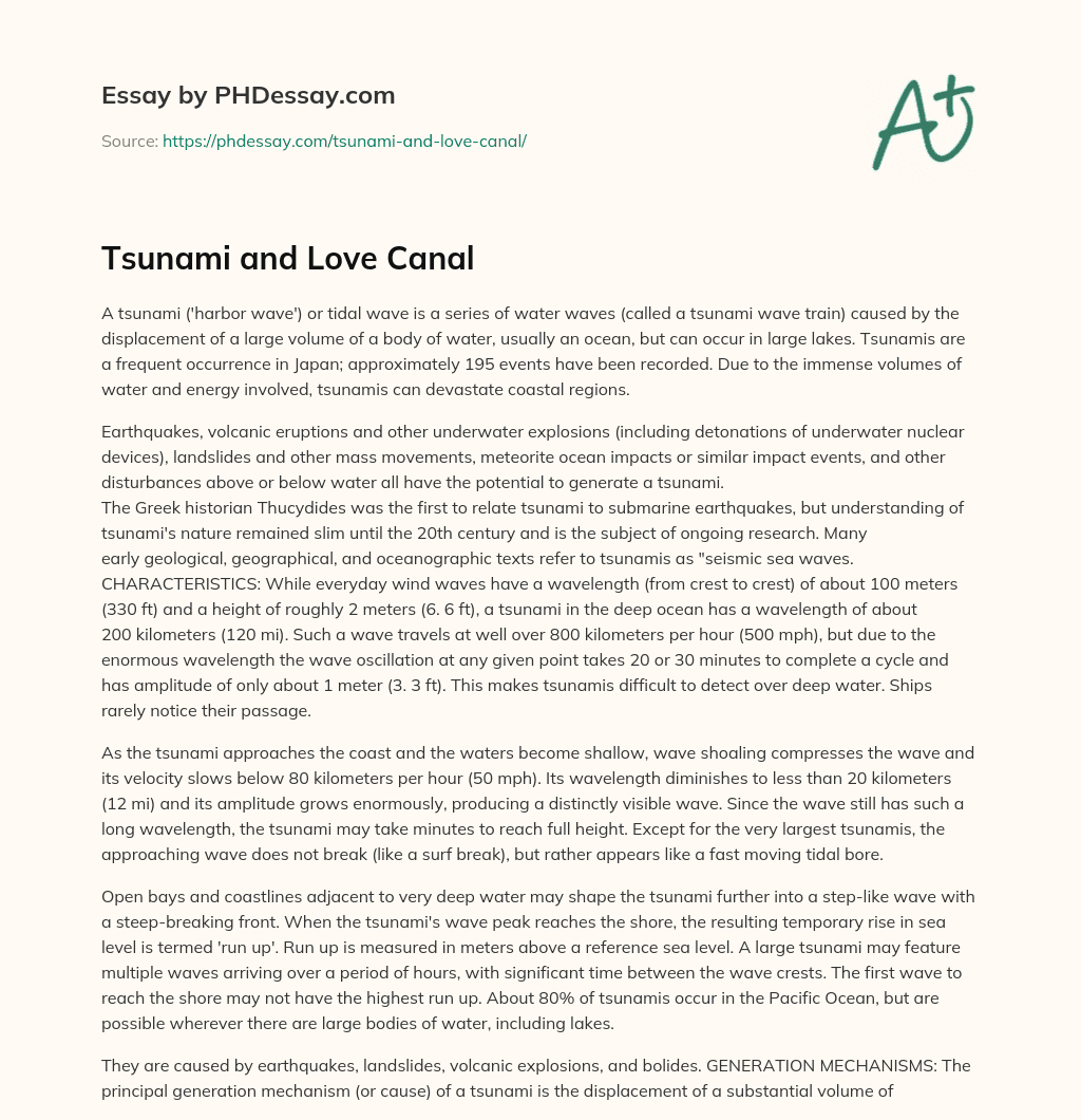 Tsunami and Love Canal essay