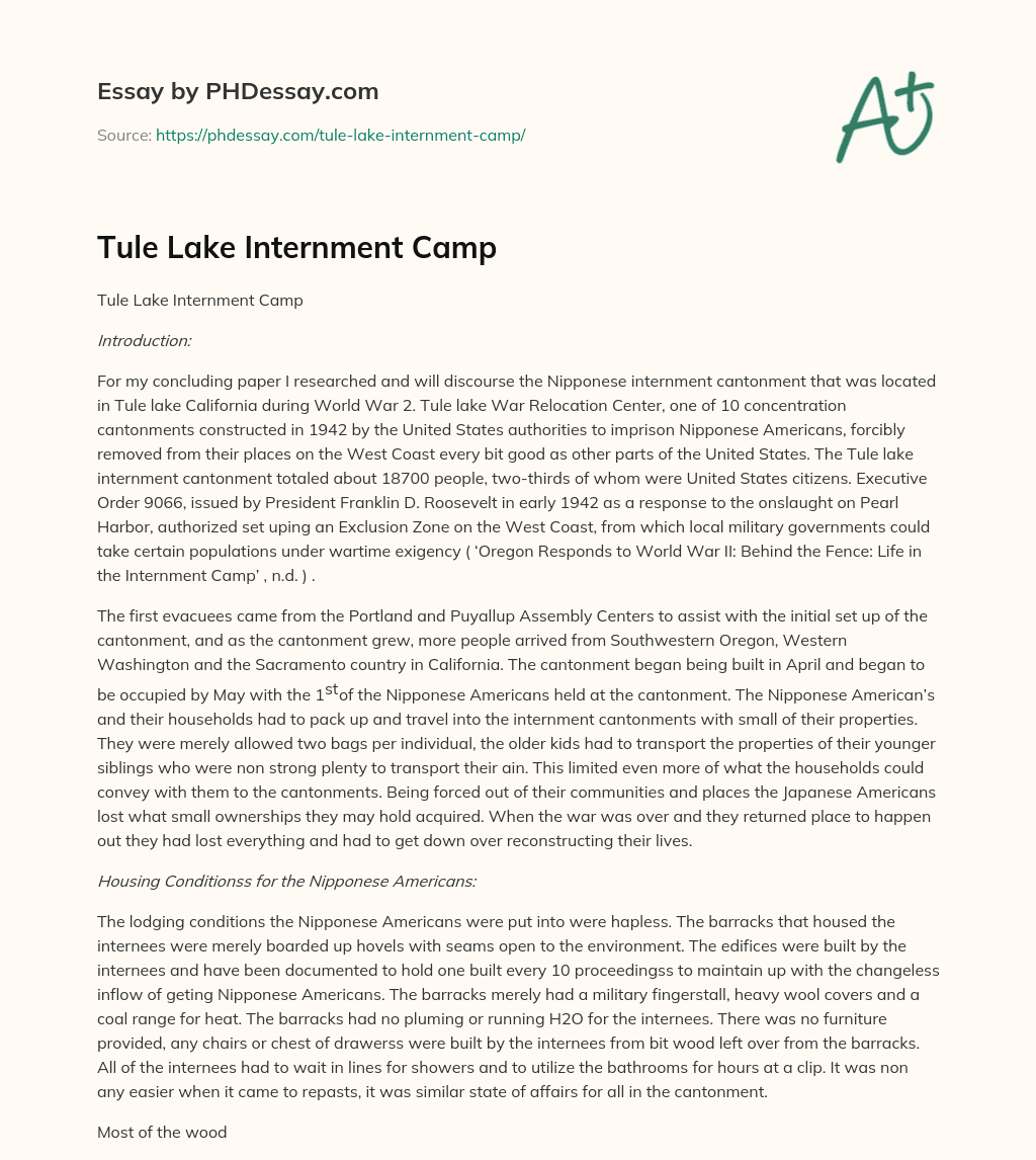 Tule Lake Internment Camp essay