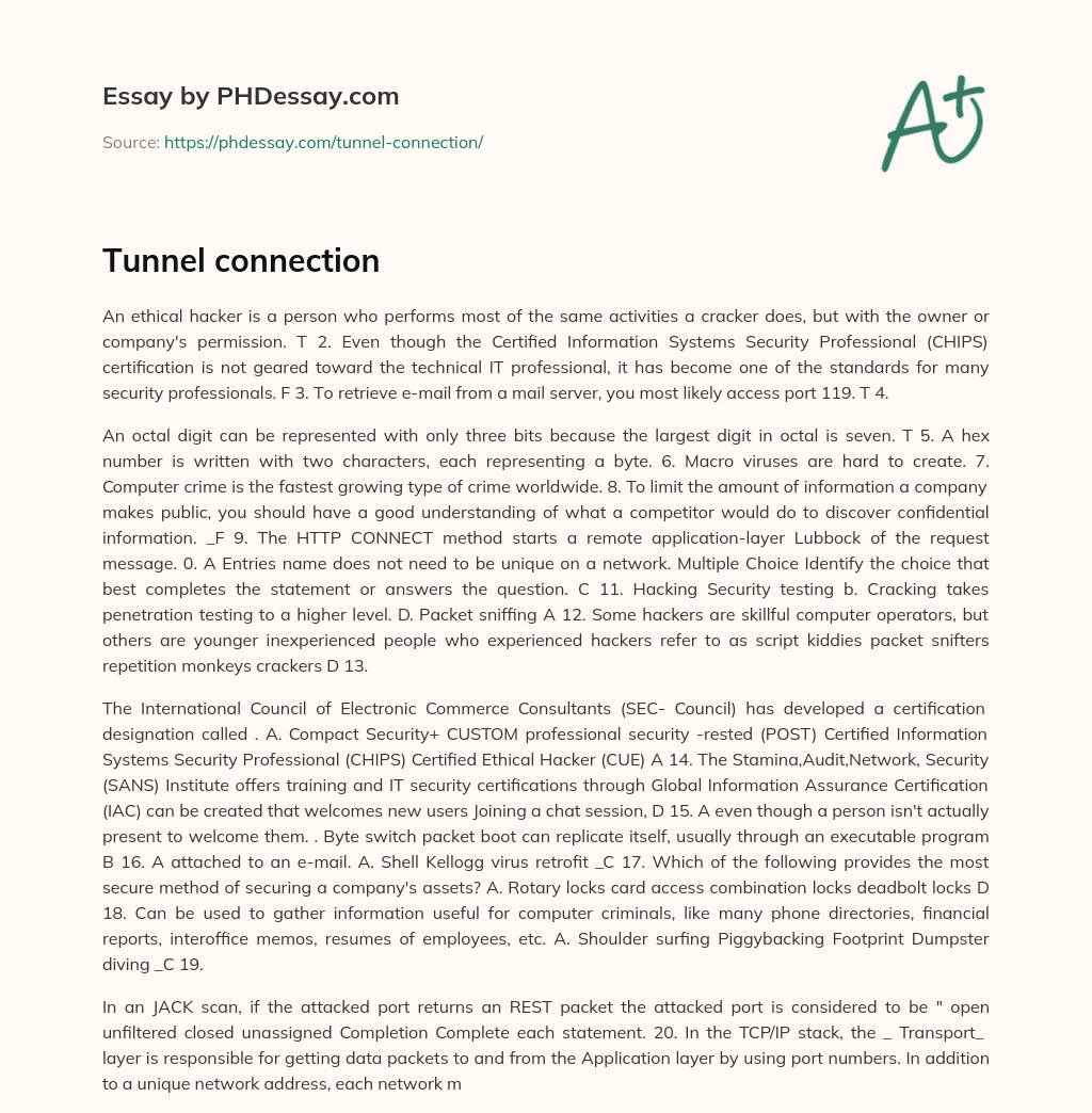Tunnel connection essay