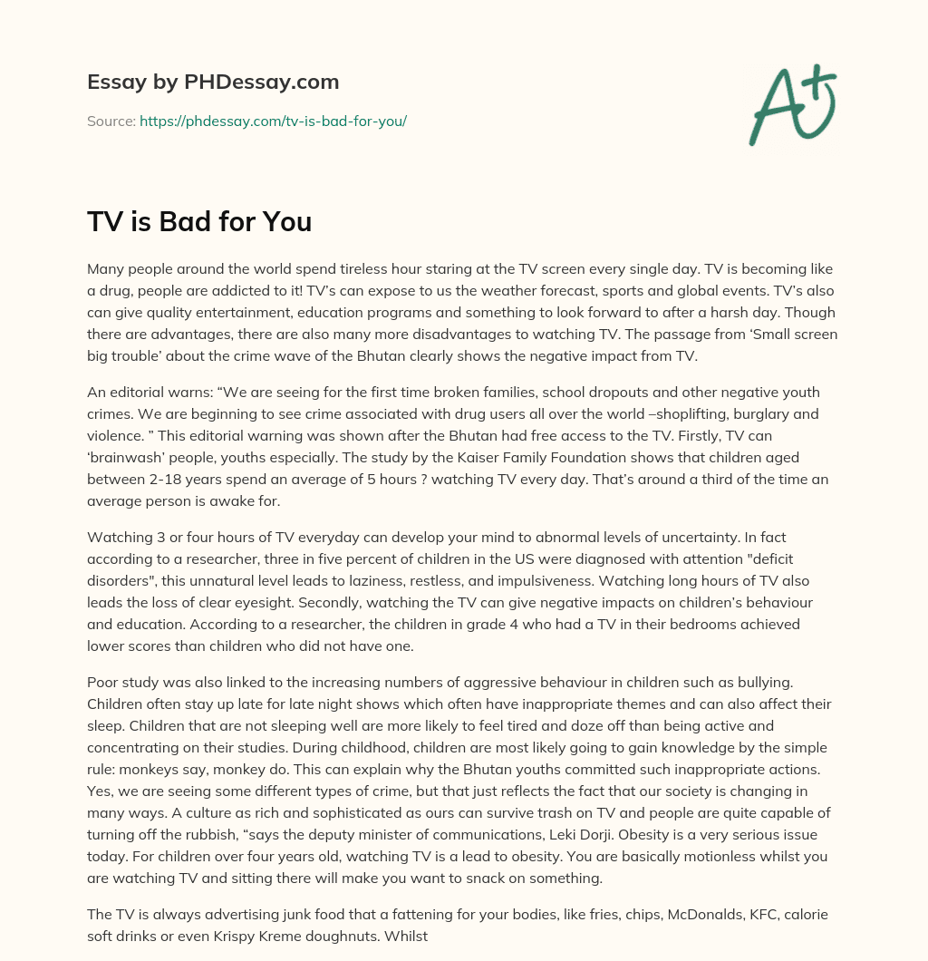 TV is Bad for You essay
