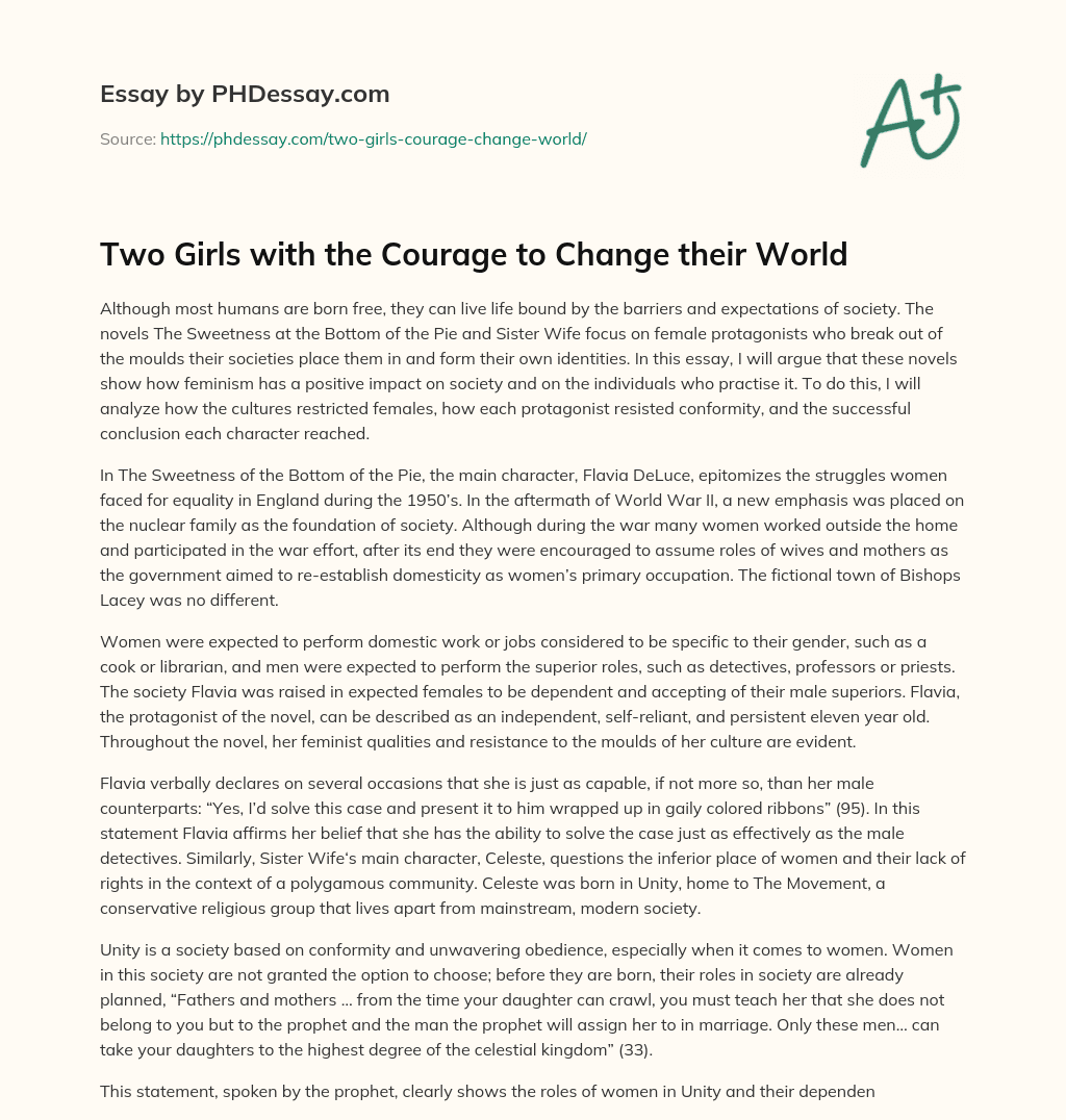 Two Girls with the Courage to Change their World essay