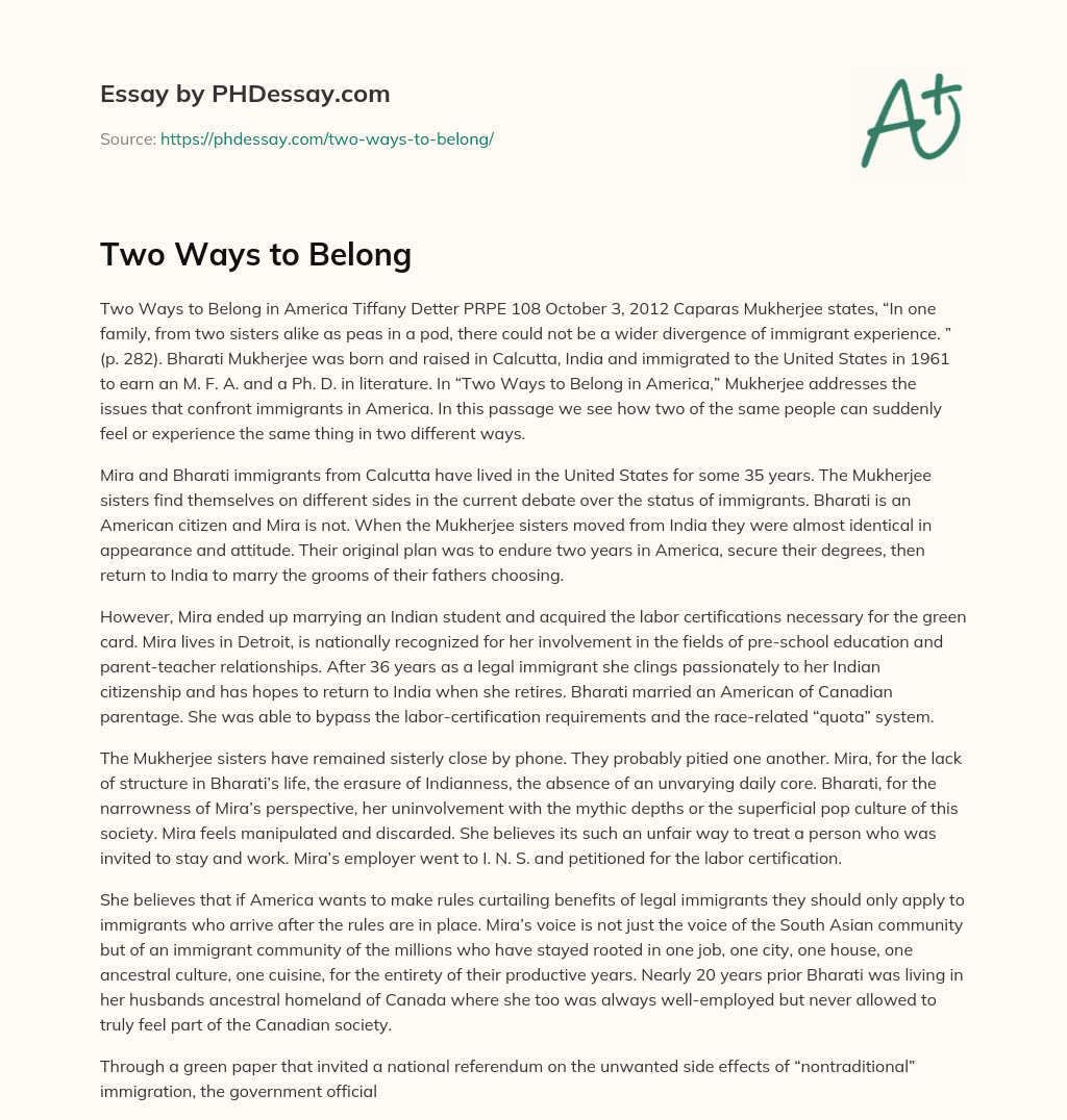 Two Ways to Belong essay