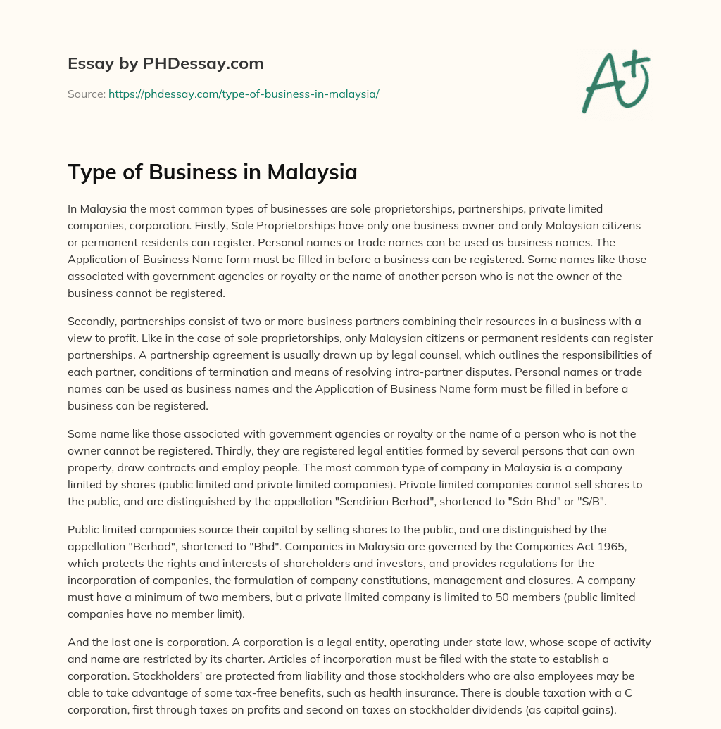 Type of Business in Malaysia essay