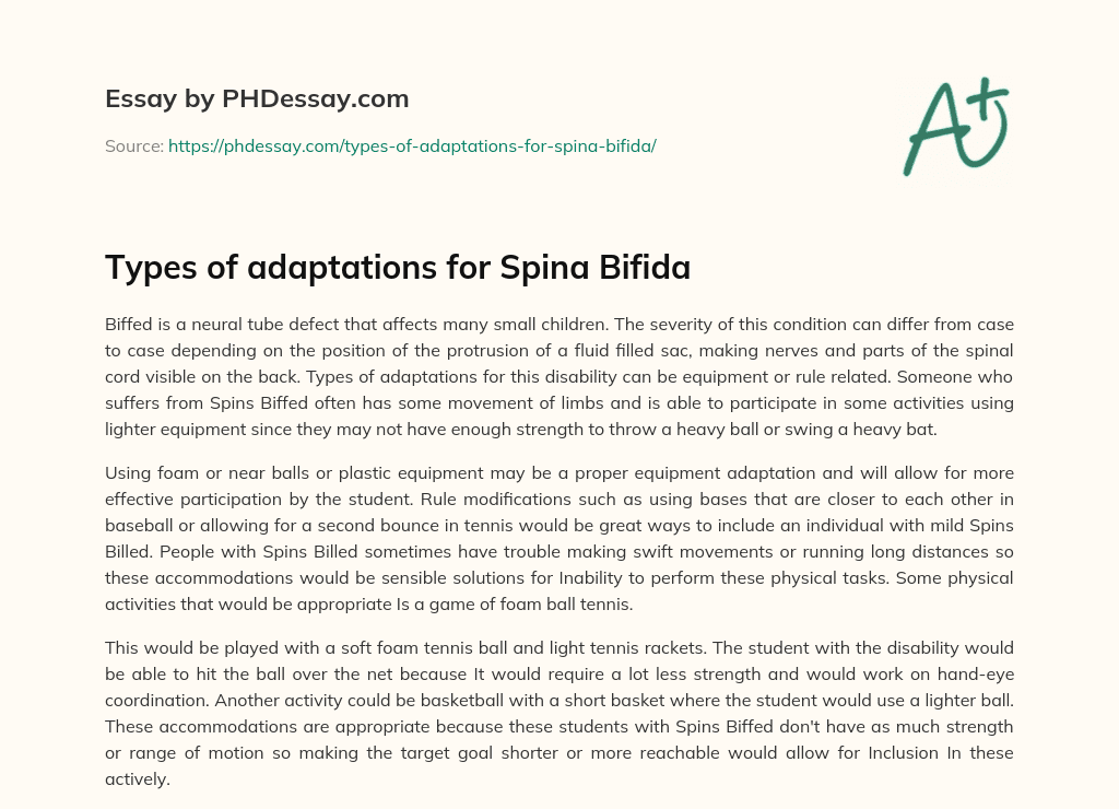Types of adaptations for Spina Bifida essay