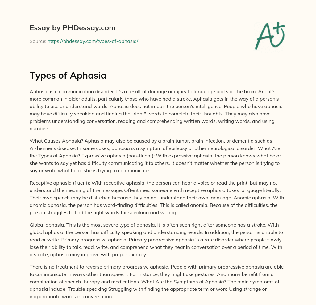 Types of Aphasia essay