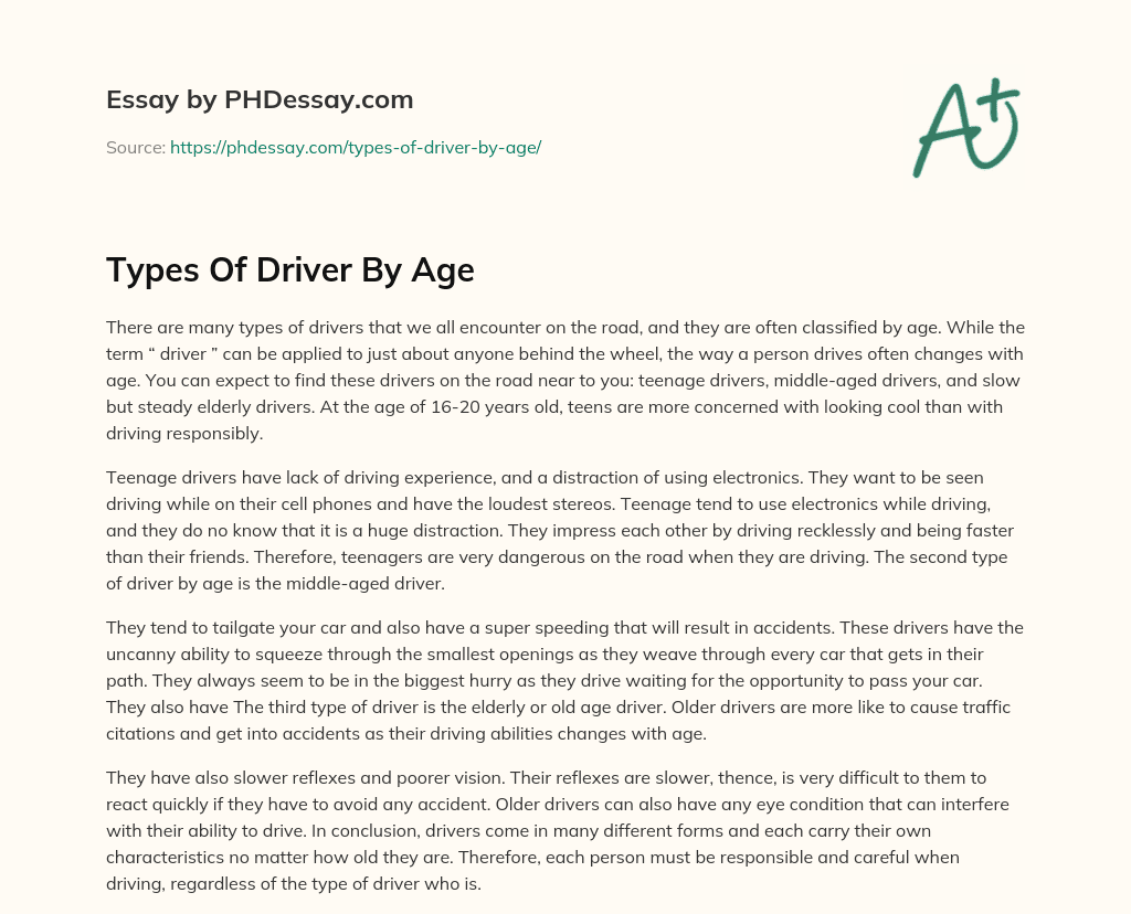 Types Of Driver By Age essay