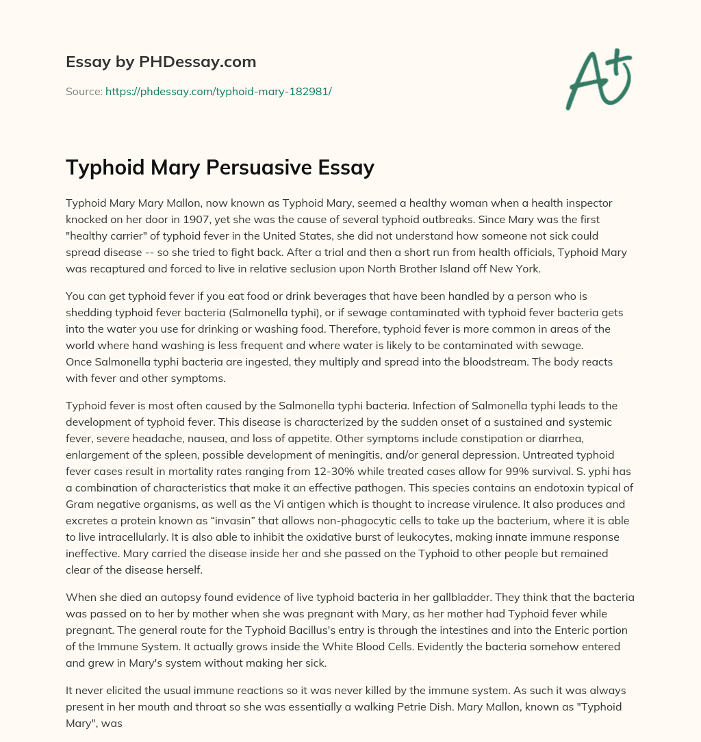 Typhoid Mary Persuasive Essay essay