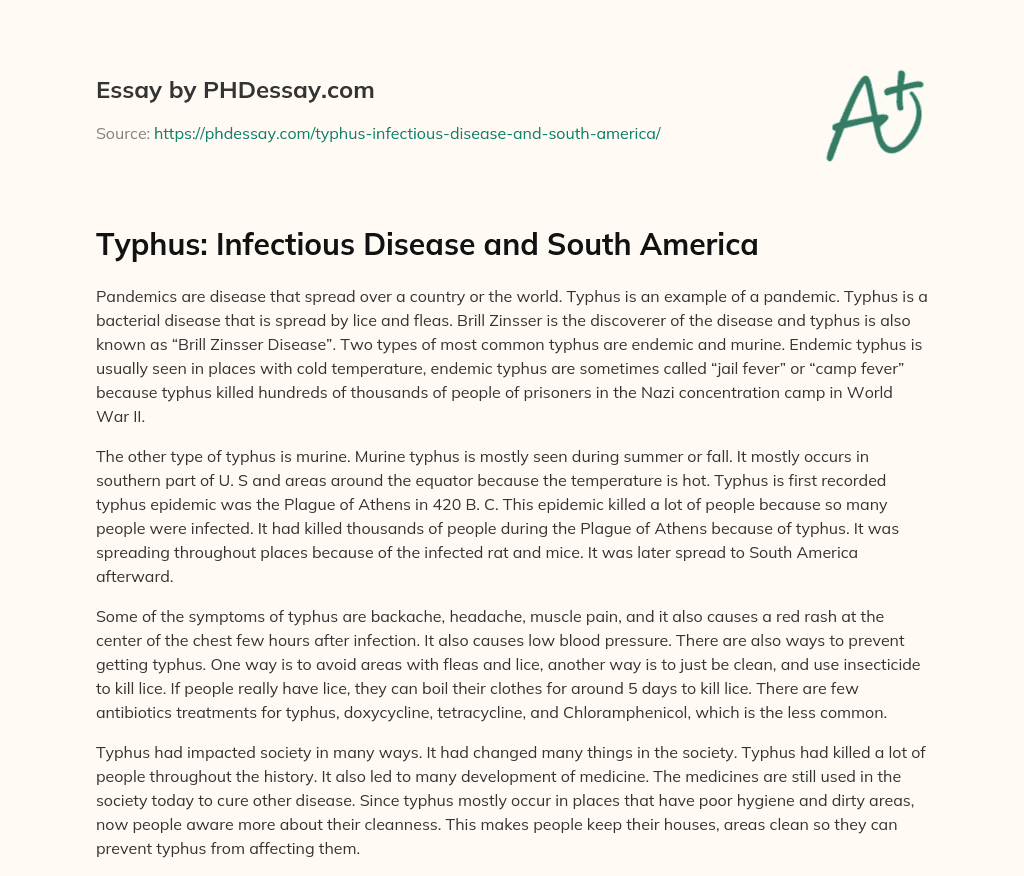 Typhus: Infectious Disease and South America essay