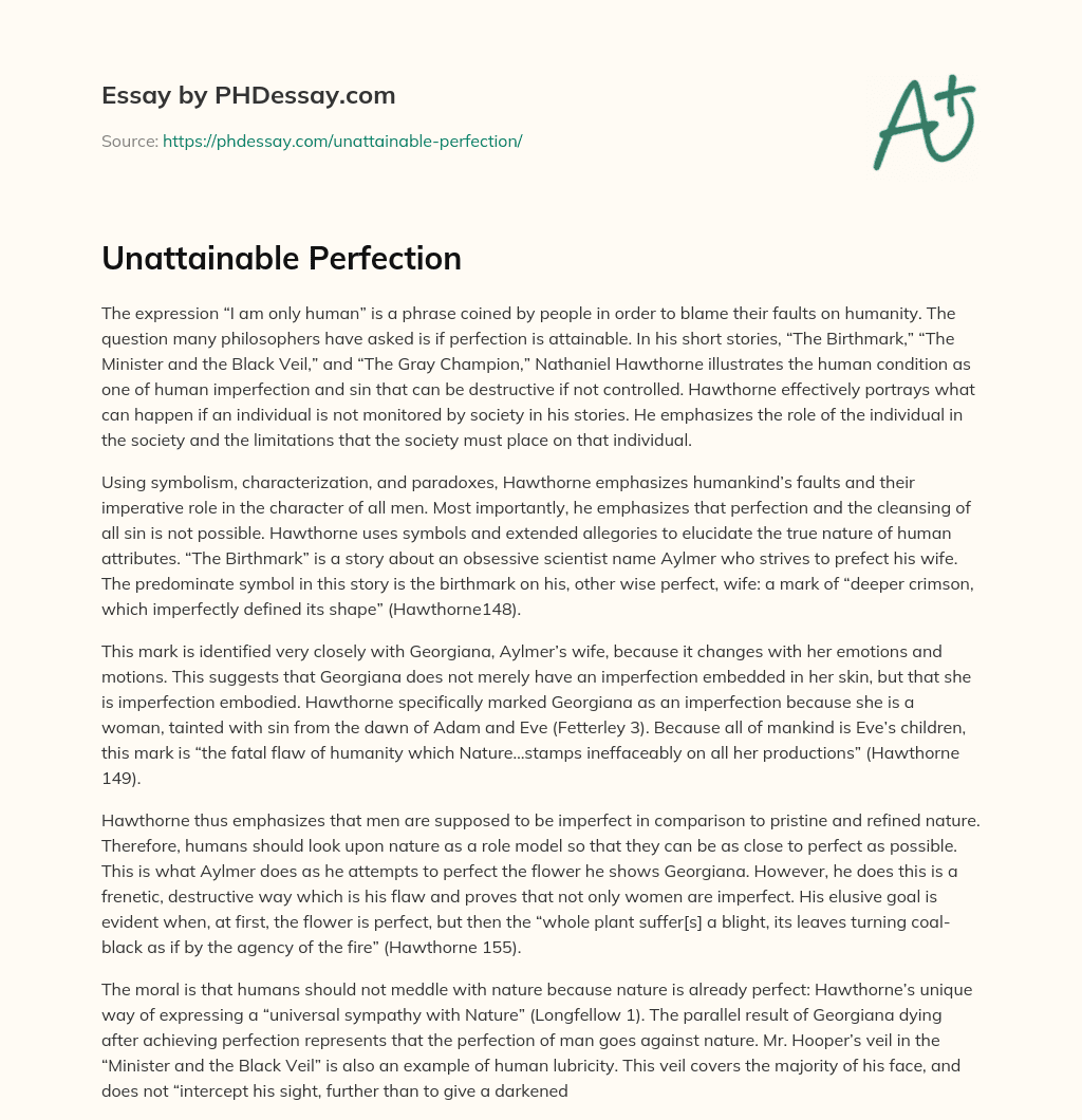 Unattainable Perfection essay