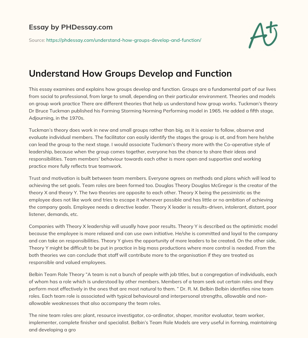 Understand How Groups Develop and Function essay