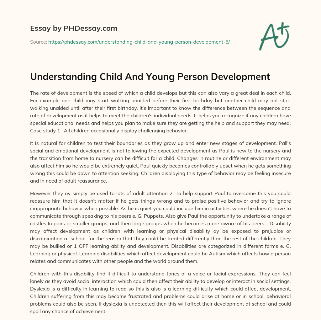 Understanding Child And Young Person Development essay