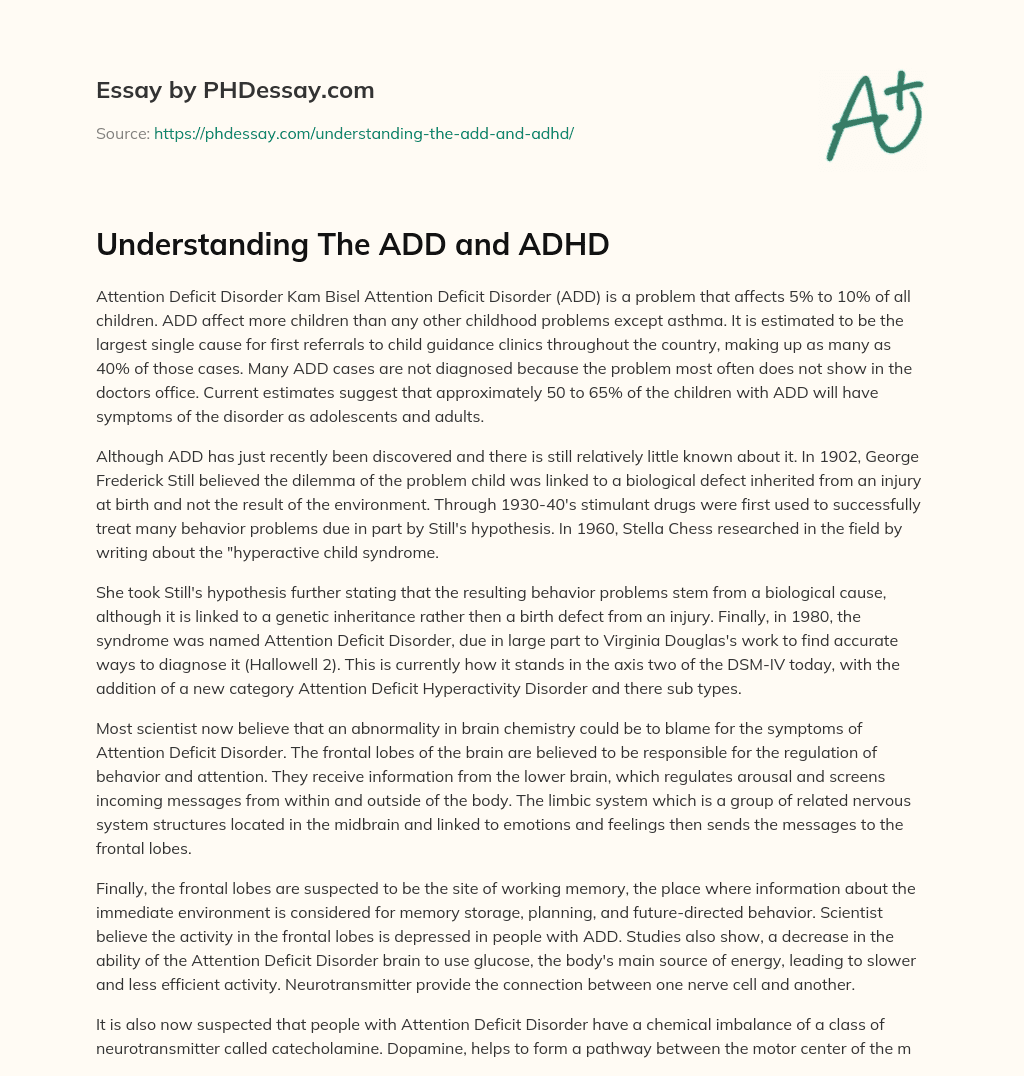 Understanding The ADD and ADHD essay