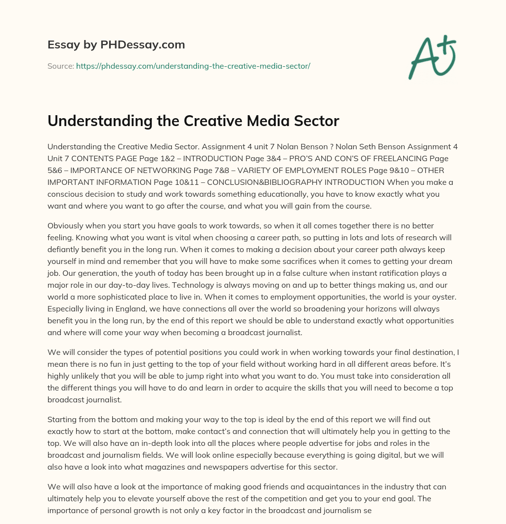 Understanding the Creative Media Sector essay