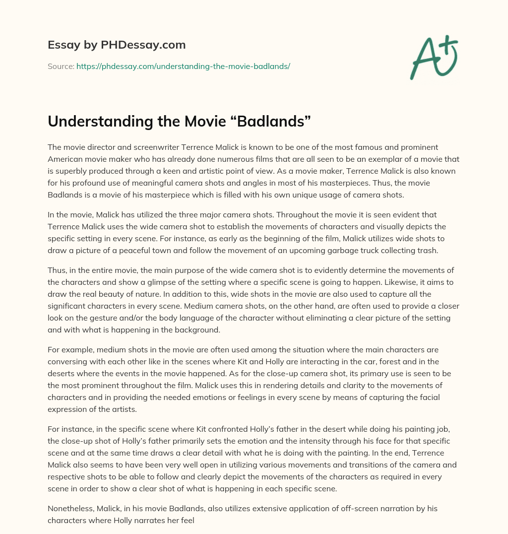 Understanding the Movie “Badlands” essay