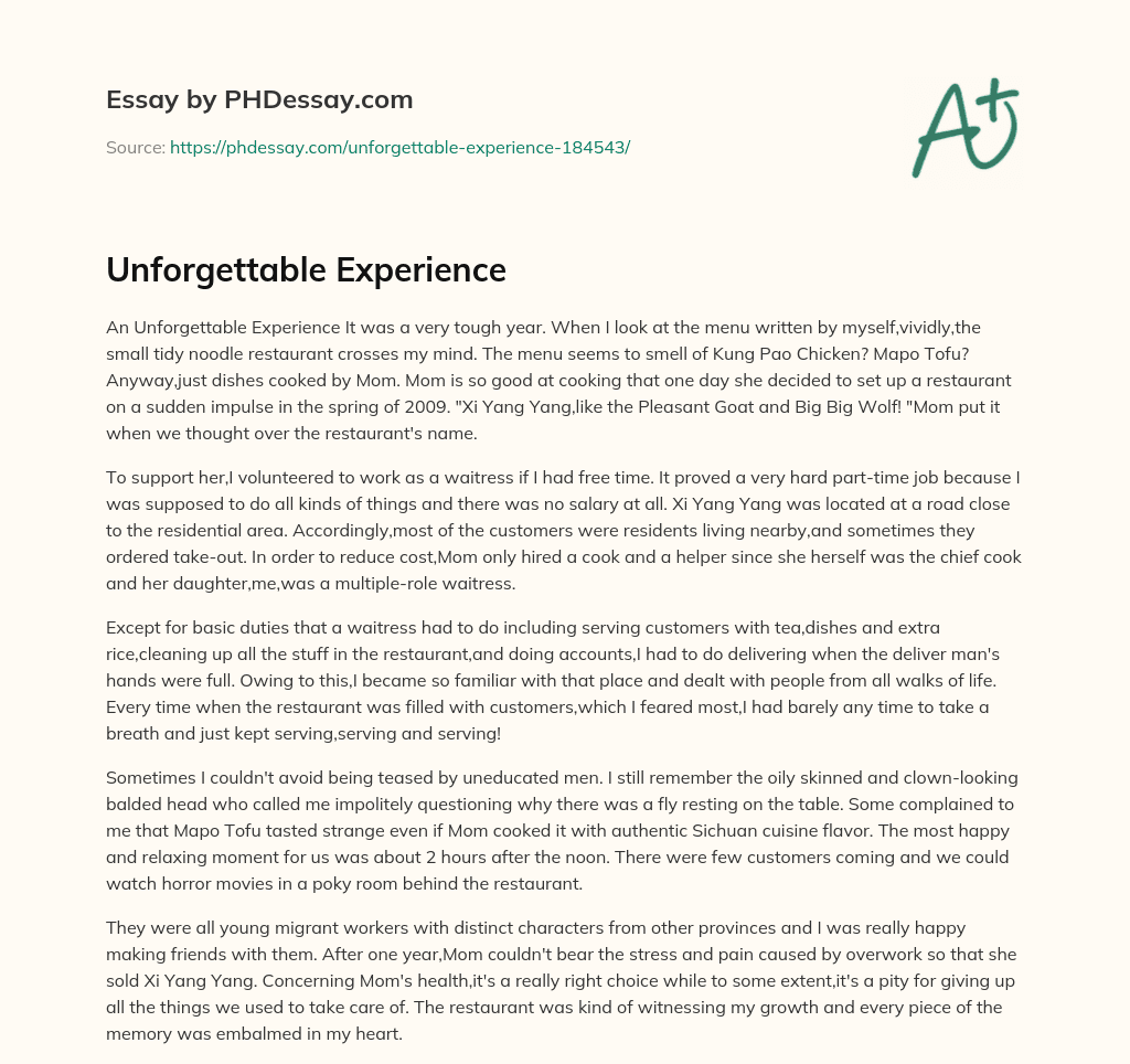 Unforgettable Experience essay