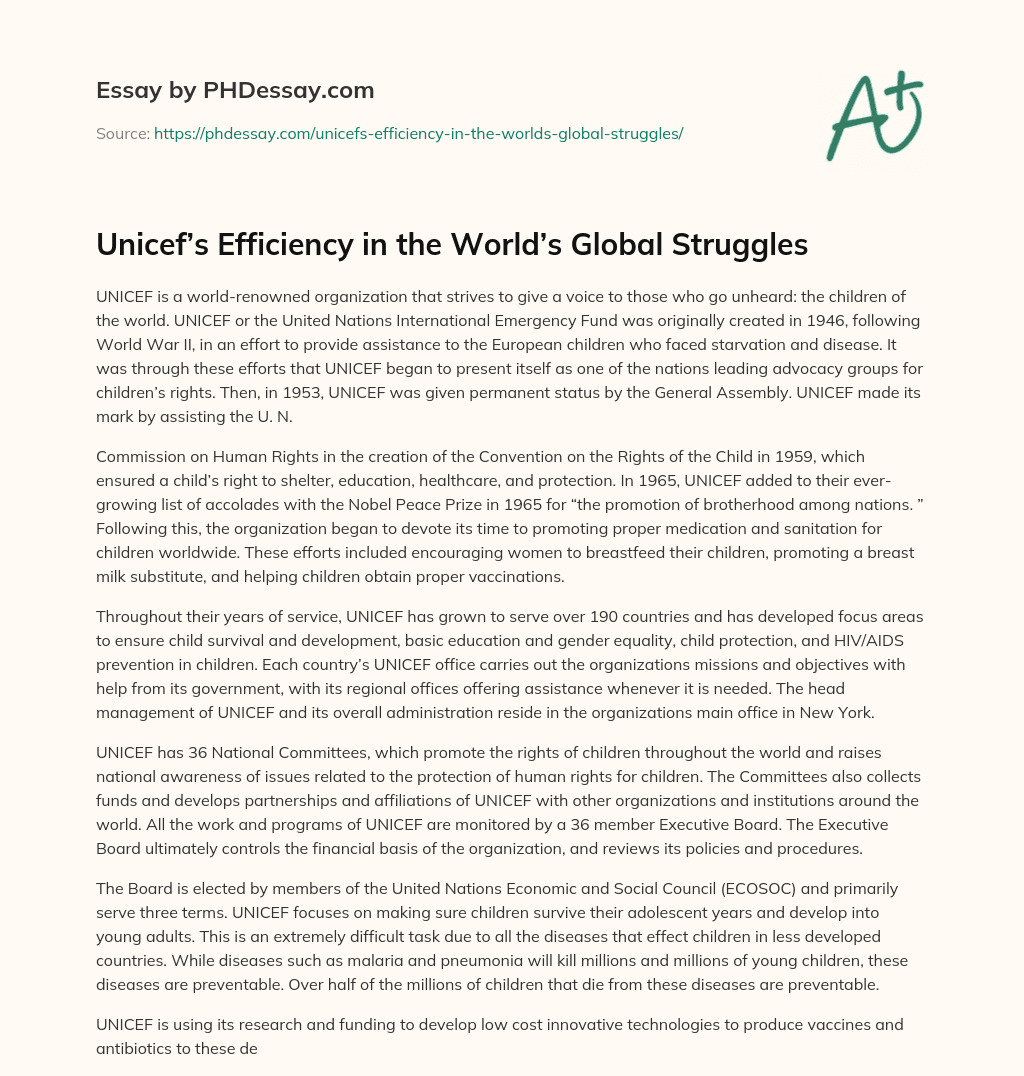 Unicef’s Efficiency in the World’s Global Struggles essay