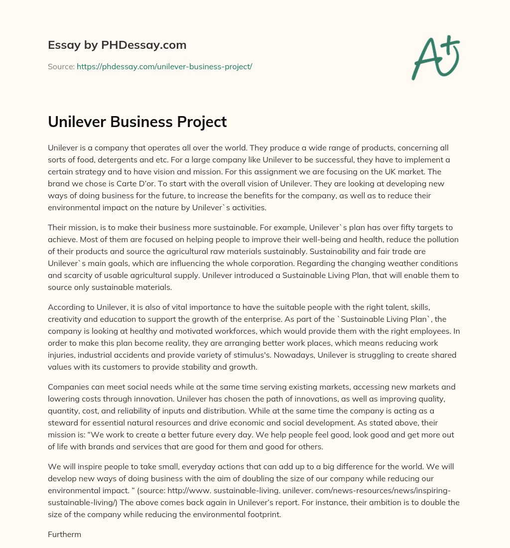 Unilever Business Project essay