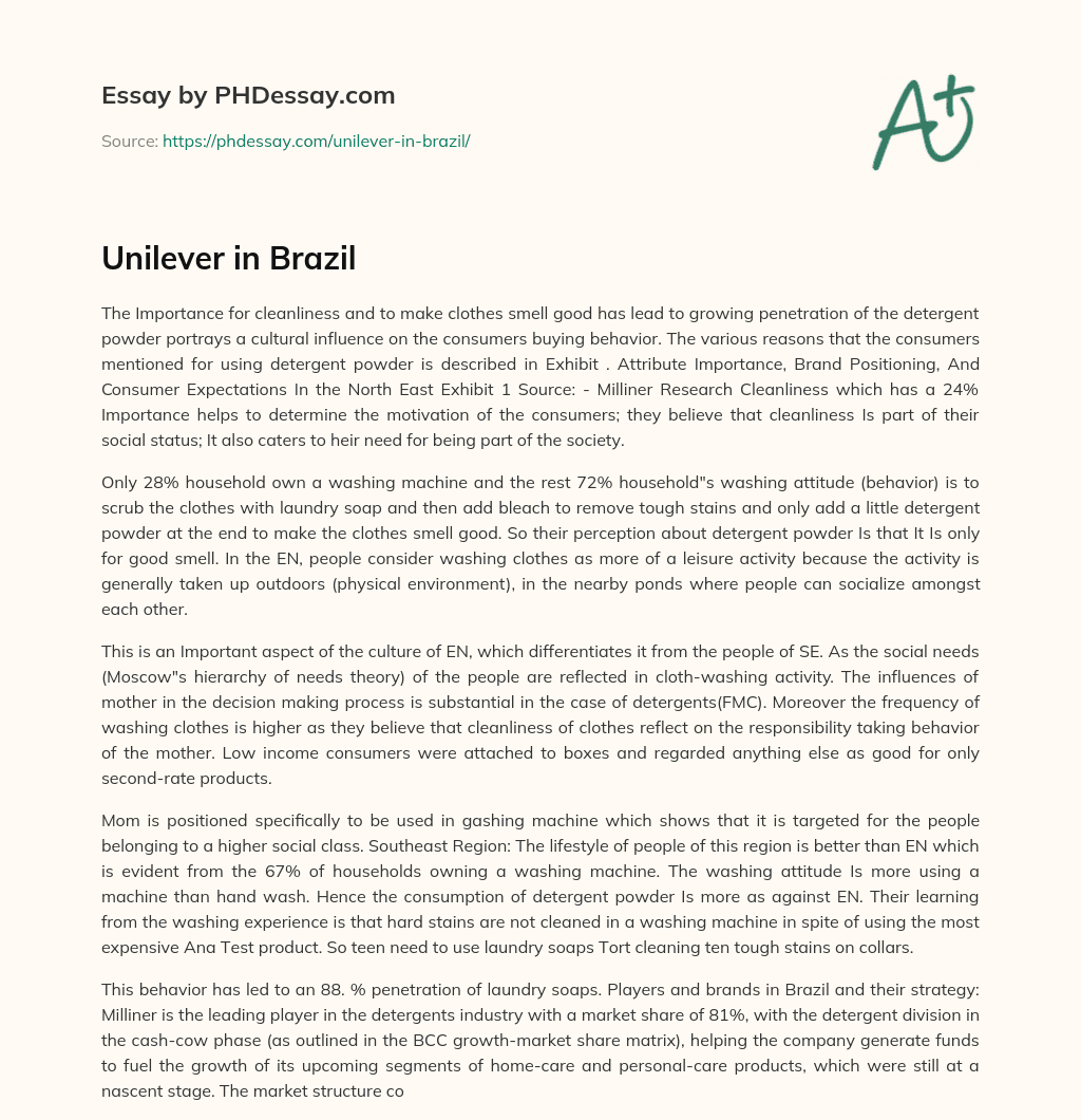 Unilever in Brazil essay