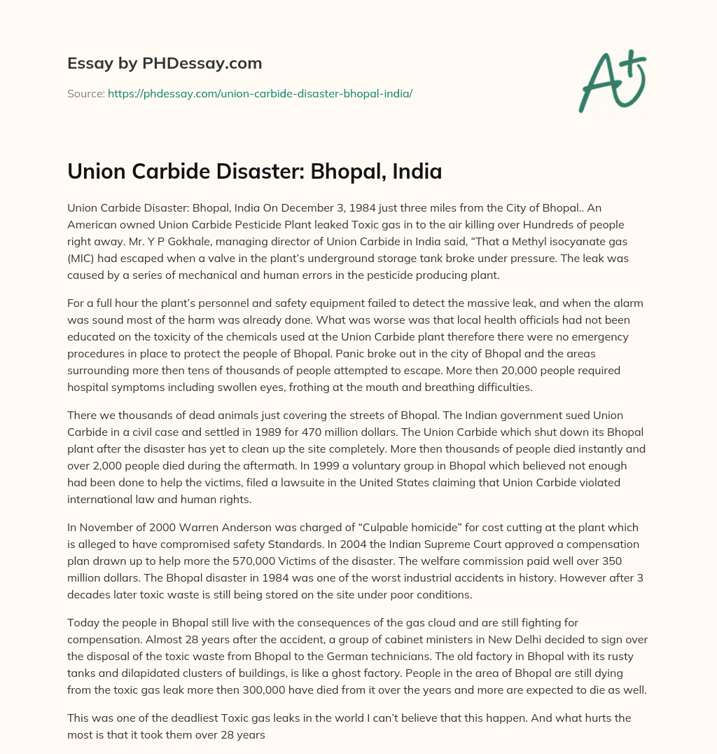 Union Carbide Disaster: Bhopal, India essay