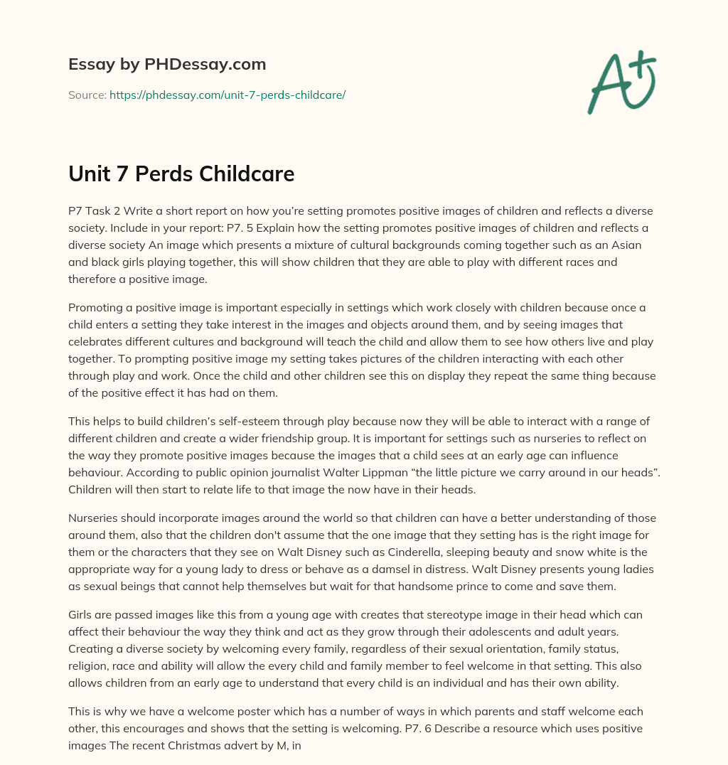 Promoting Positive Images and Diversity in a Childcare Setting essay