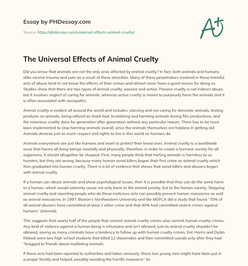 animal cruelty essays