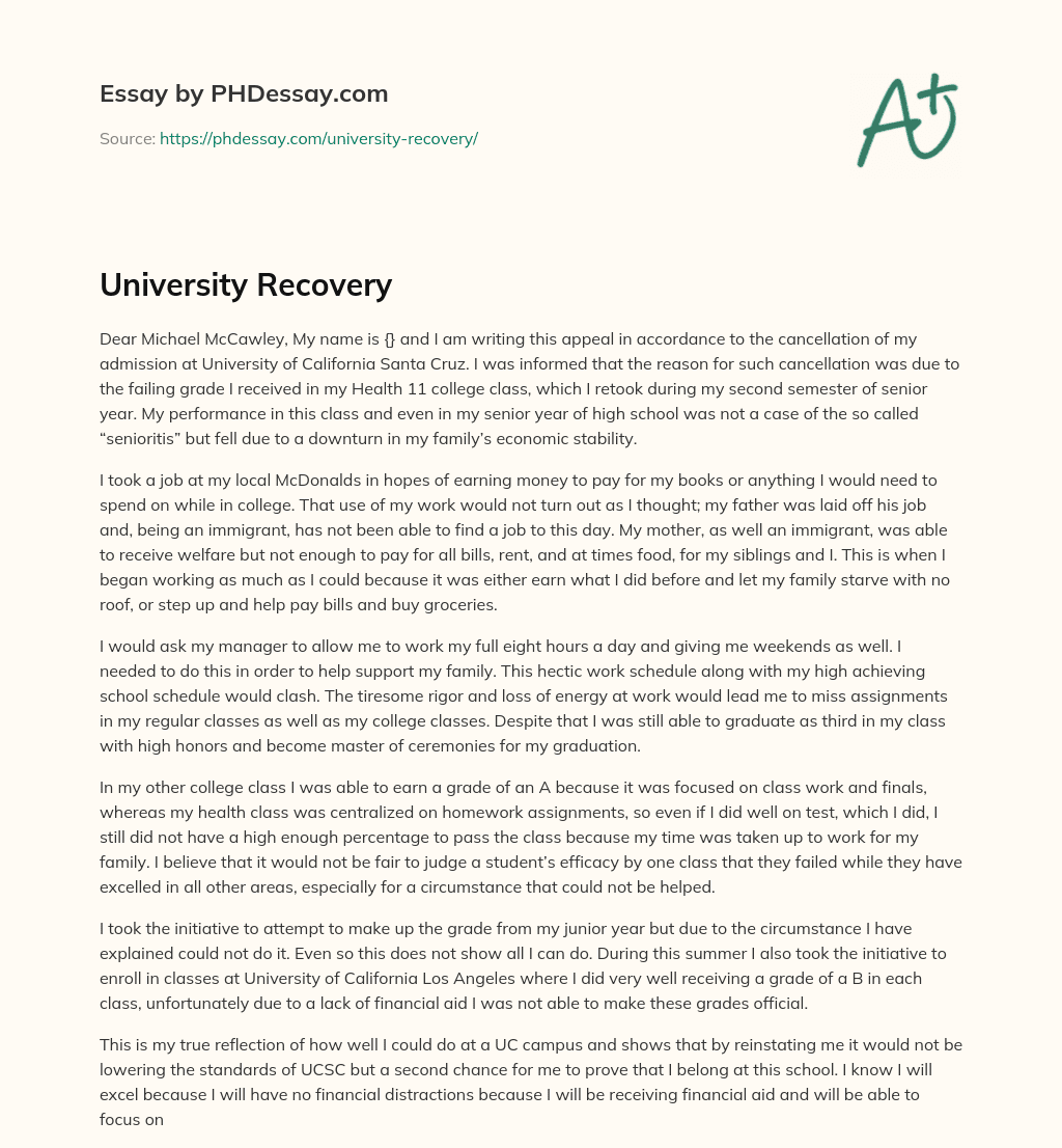 University Recovery essay