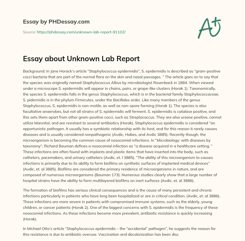 Essay about Unknown Lab Report essay