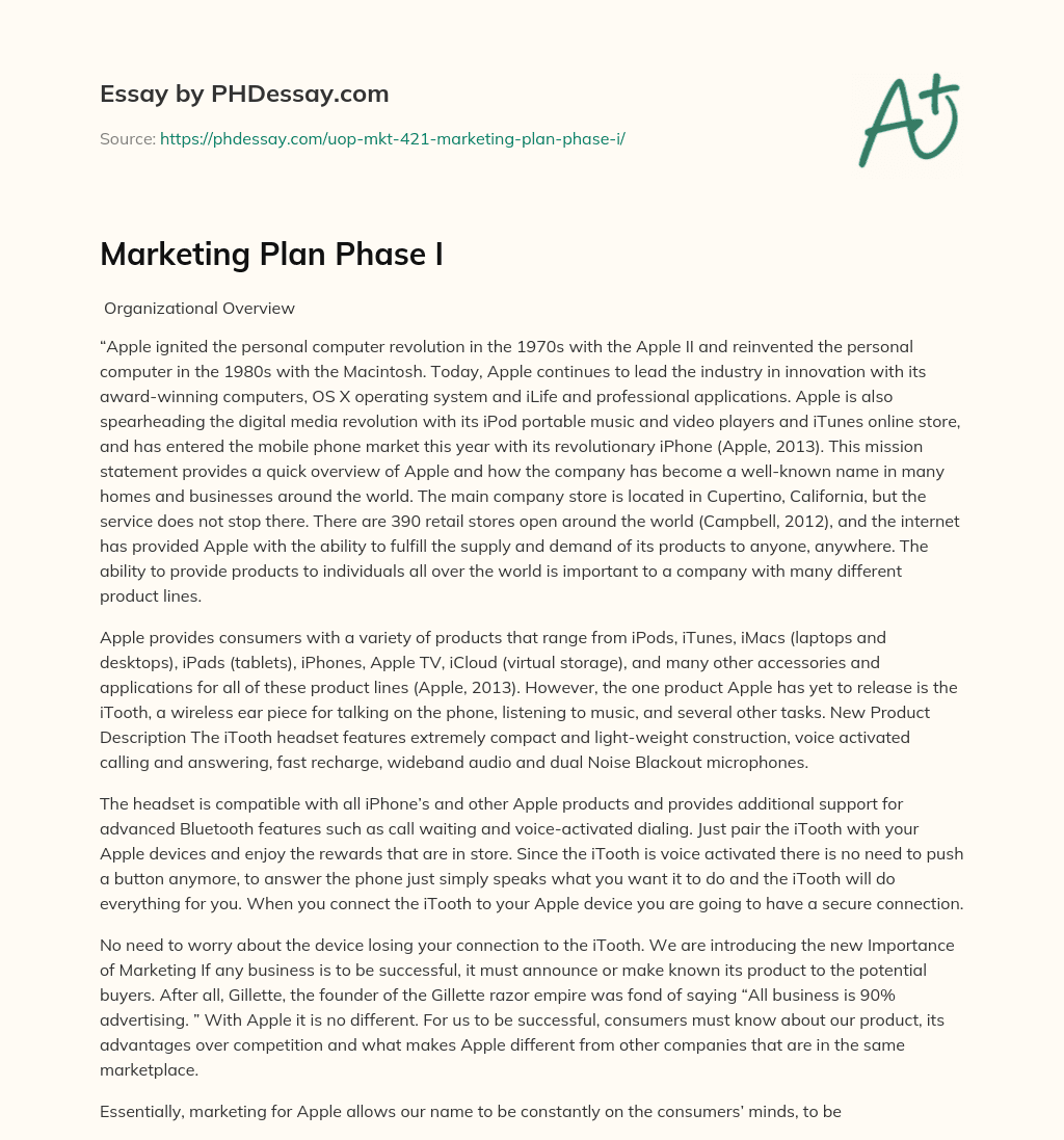 Marketing Plan Phase I essay